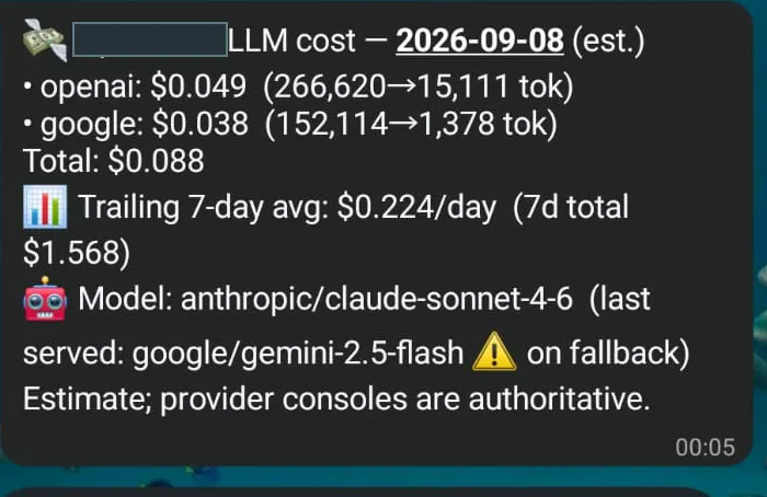 The original redacted daily AI cost report.