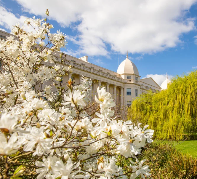 London Business School campus at Regent's Park